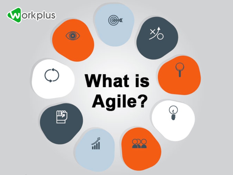 Agile là gì? Có những loại phương pháp phát triển phần mềm nào?